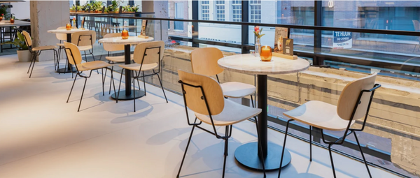 D-chair 101 - beech fineer clear coated