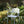 Loop chair 142